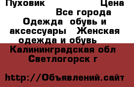 Пуховик Calvin Klein › Цена ­ 11 500 - Все города Одежда, обувь и аксессуары » Женская одежда и обувь   . Калининградская обл.,Светлогорск г.